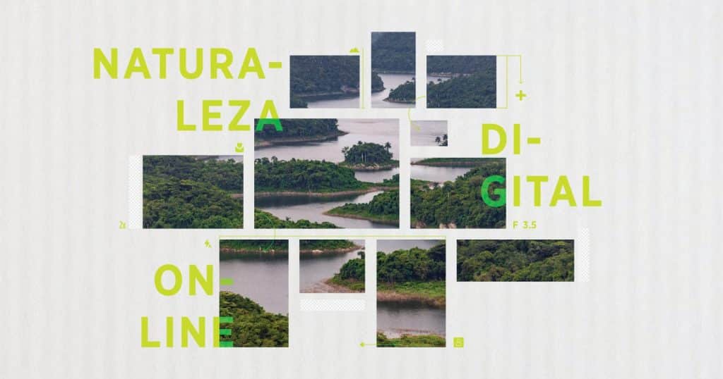 CONVOCA GAVIOTA S.A.  A CONCURSO INTERNACIONAL DE FOTOGRAFÍA NATURALEZA DIGITAL ONLINE