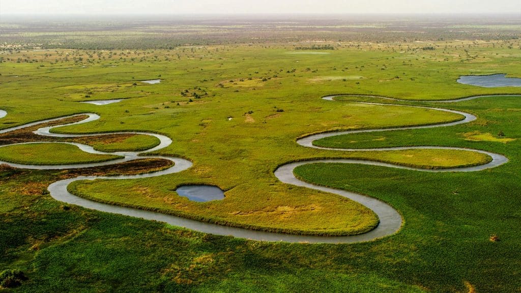 DELTA DEL OKAVANGO, EL PARAÍSO SALVAJE DE BOTSUANA.